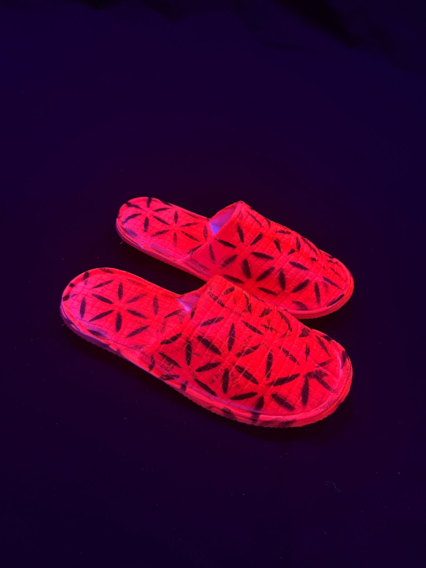 5d Slippers