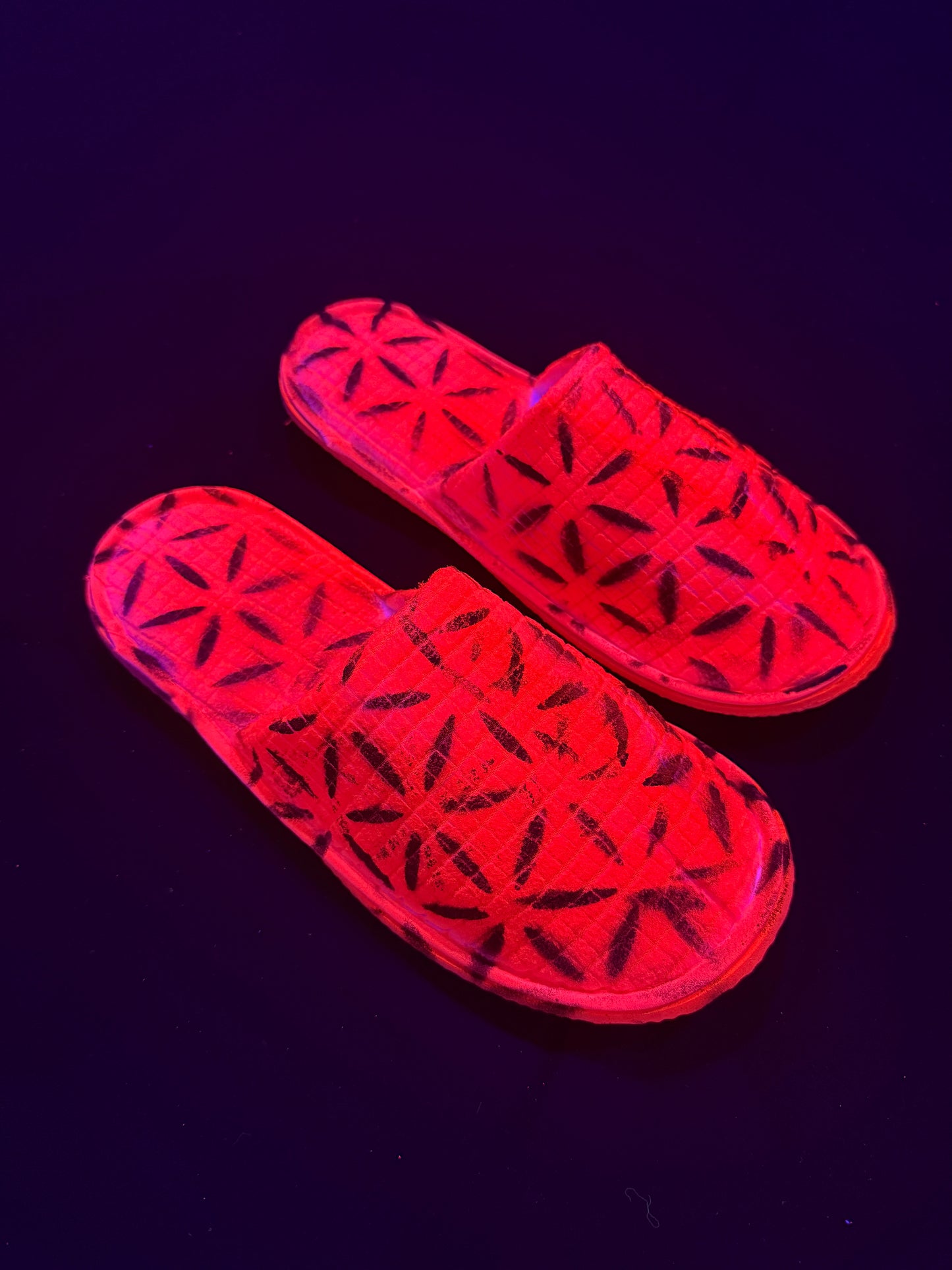 5d Slippers